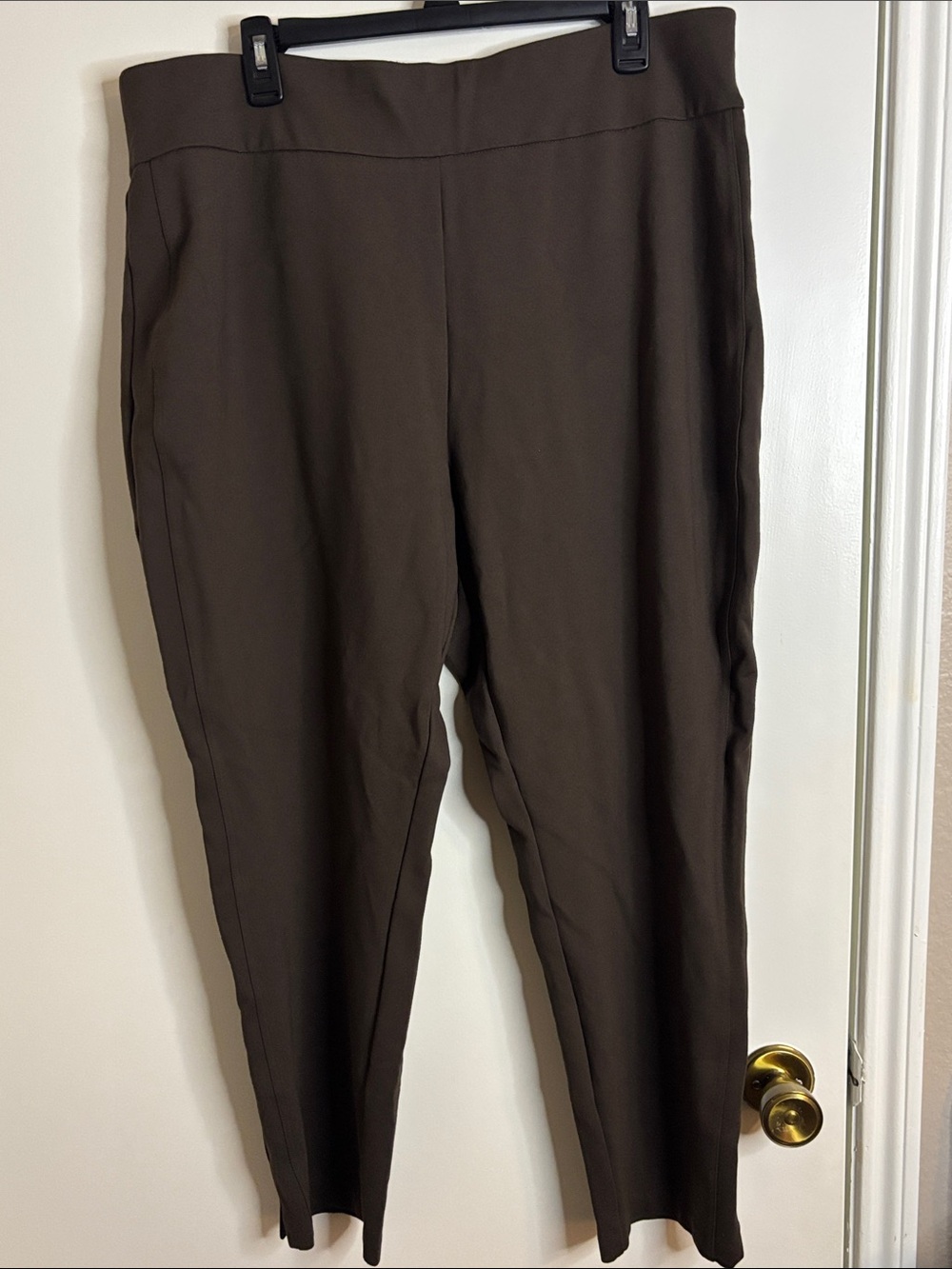 Express Women's Brown Pull-On Dress Pants